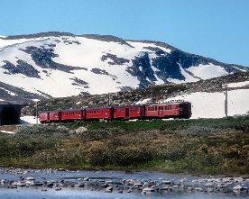 074513_bm67_bergensb.1280 NSB BM 67.09 +...+ BM 68.18 mit Sykkeltog Pt 1452 bei Storurdi